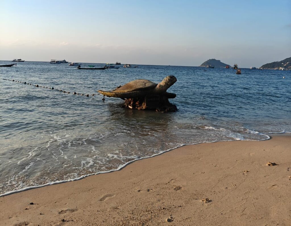 Turtle statue at Koh Tao beach.