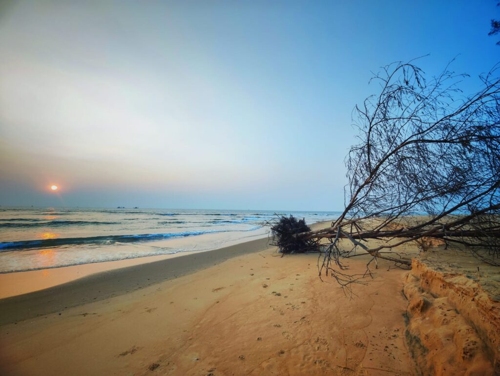 Discover the Beauty of Cavelossim Beach: A Peaceful and Unspoilt Beach in South Goa